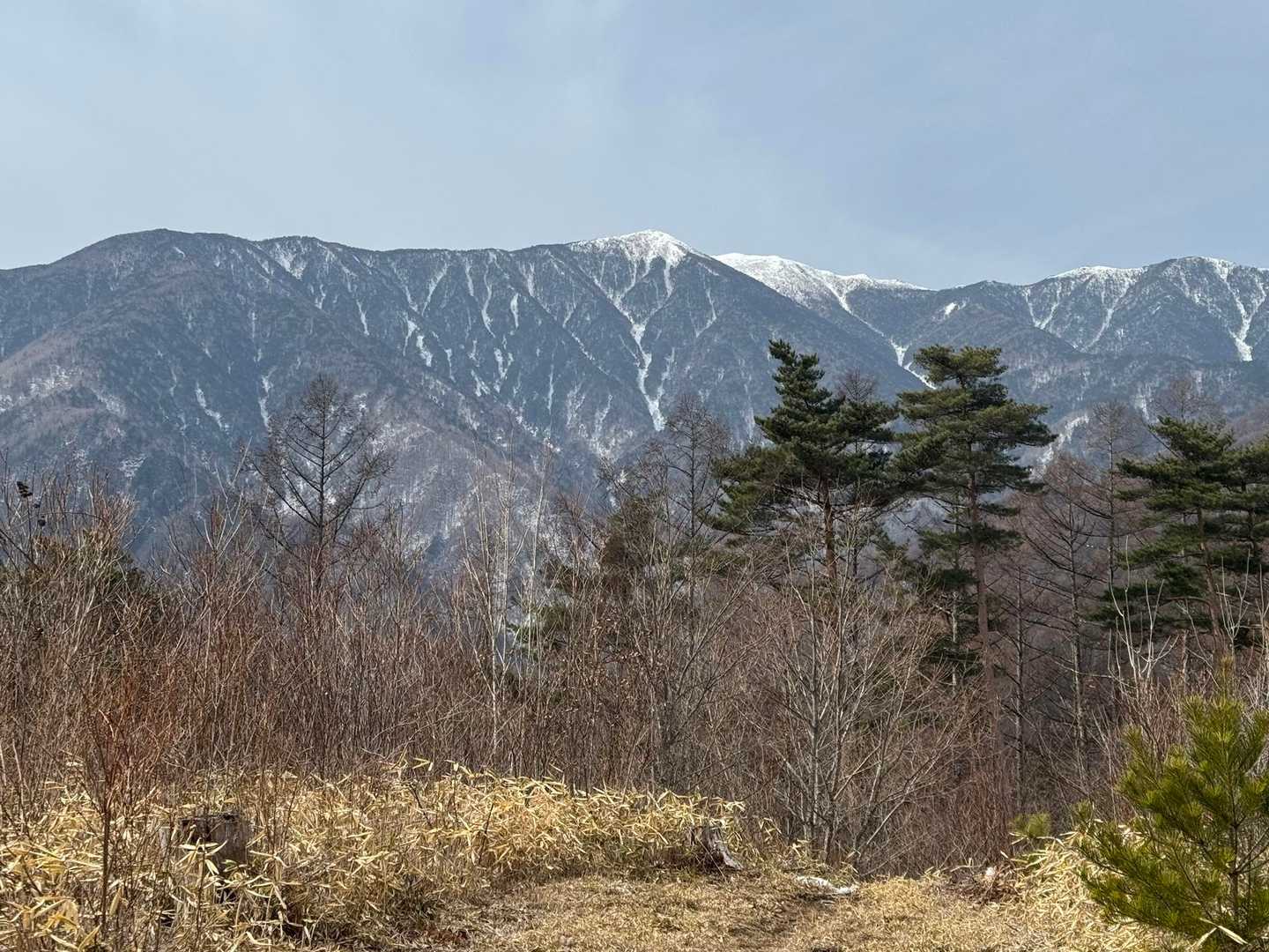 将棋頭山🏔️

ゼブラの木曽駒を見に行きたいな🦓