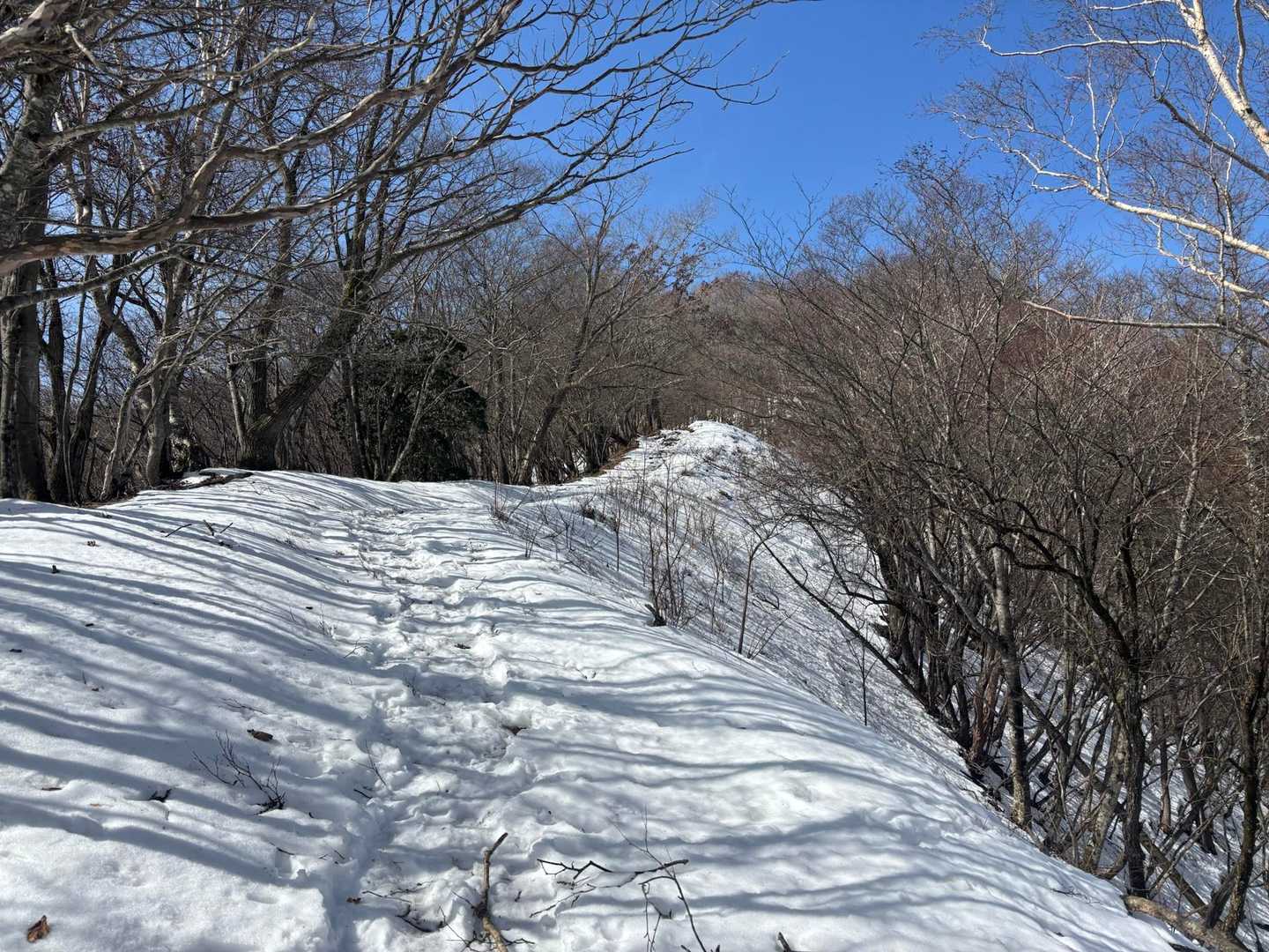 鳩ノ巣駅-大根ノ山ノ神-川苔山 往復コースの写真