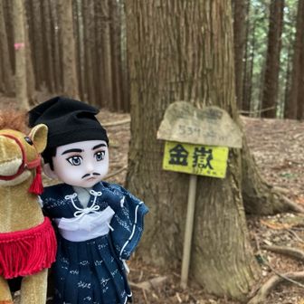 金嶽山頂⛰️
