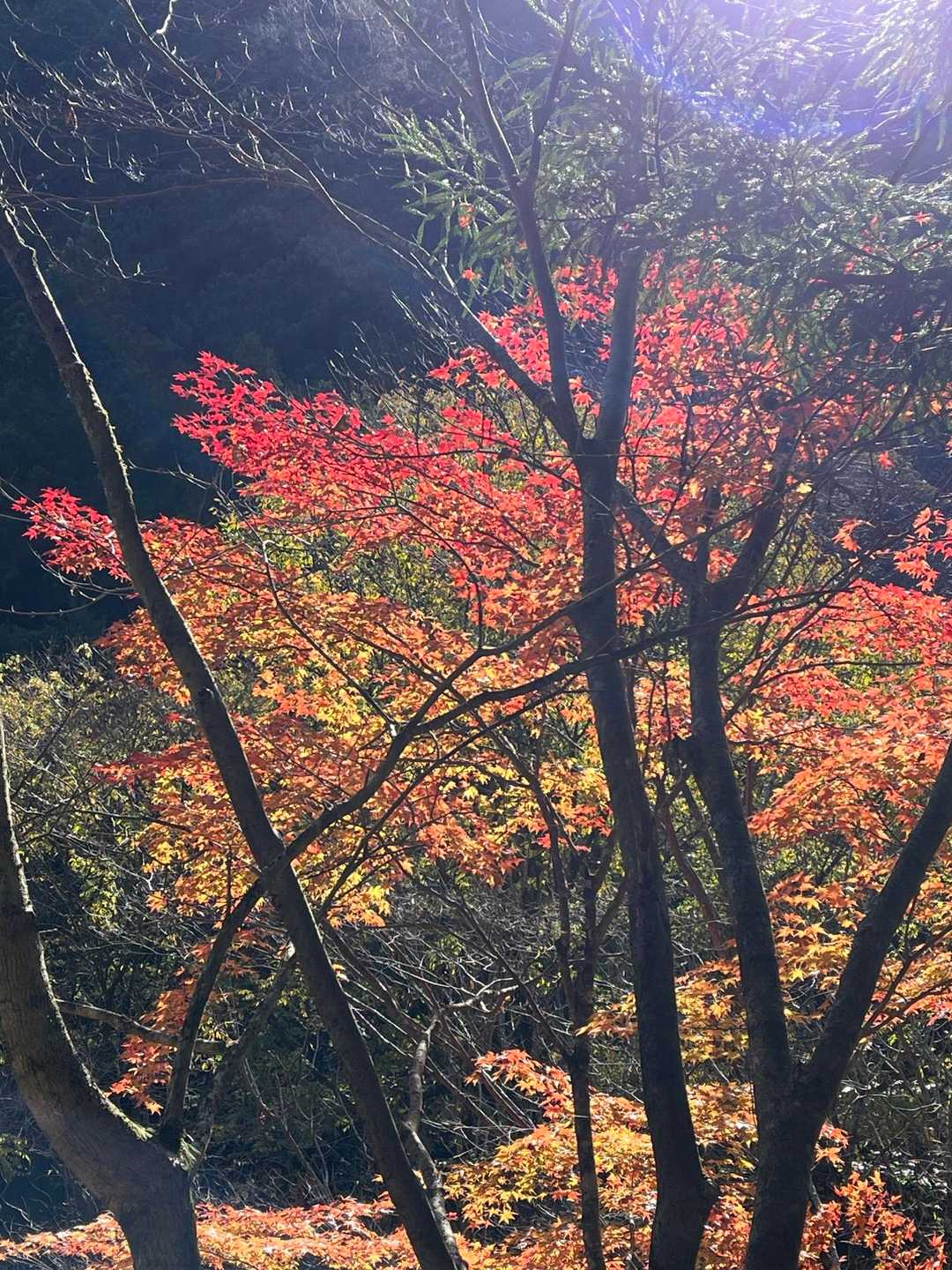 光が差し込んで✨✨