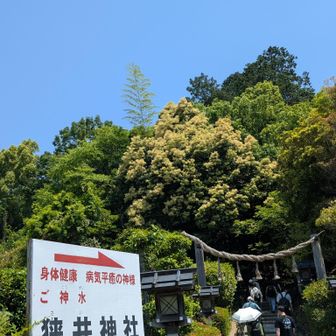 狭井神社に向かいます🧑‍🦯