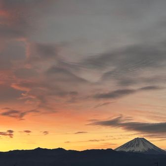 ライトトレイル