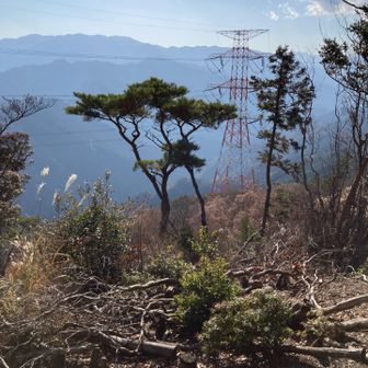 しばらく座り込んでぼっとしました。ここに来るとぼっとしたくなります。