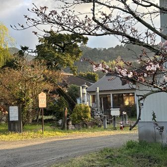 振り返ってのお寺さん
