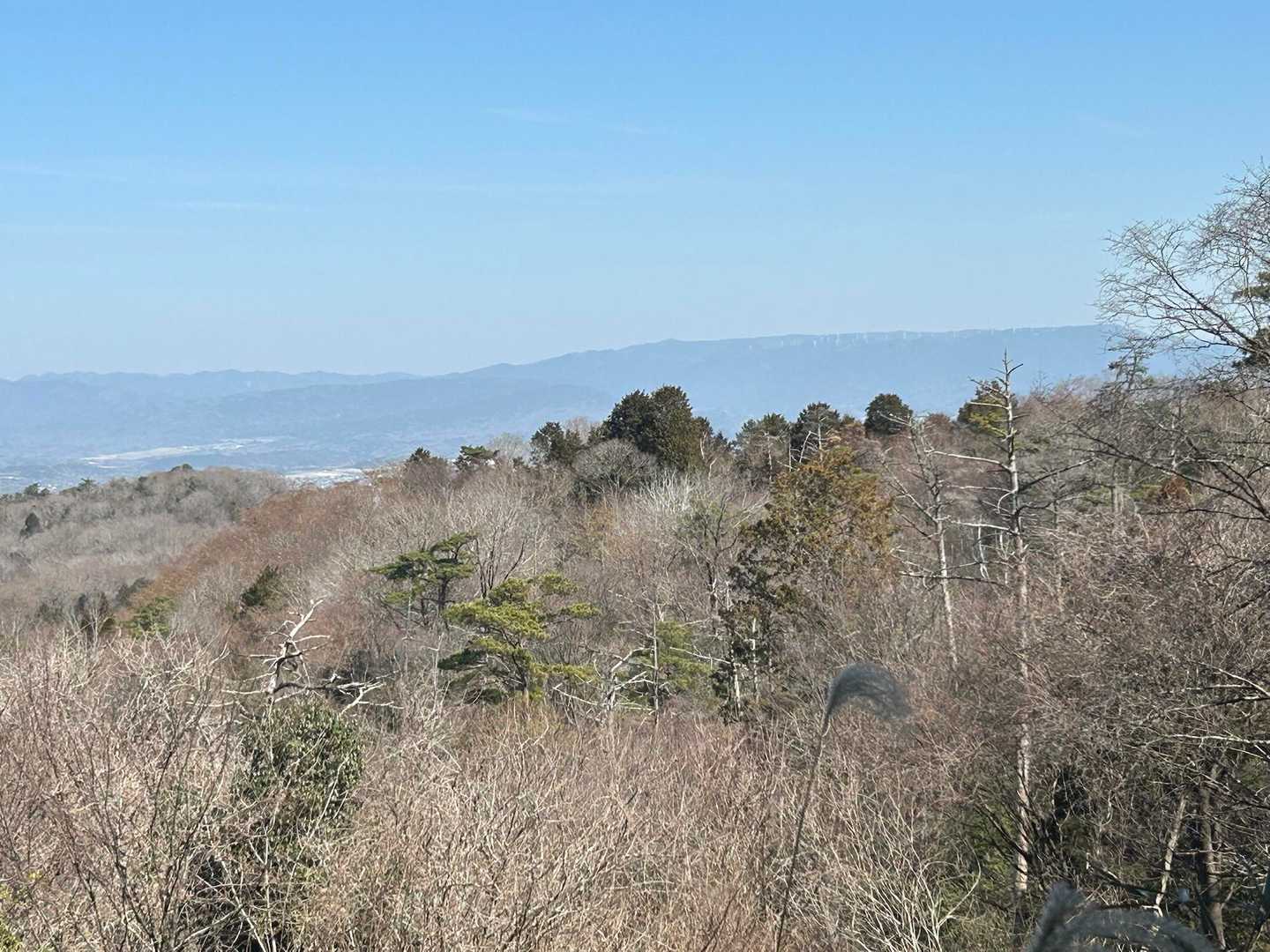 肉眼だと青山高原の風車よく見えてますが…