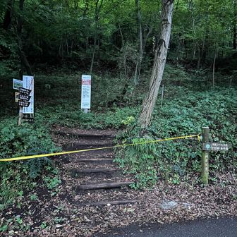 ここから登れないの…迂回するにゃ