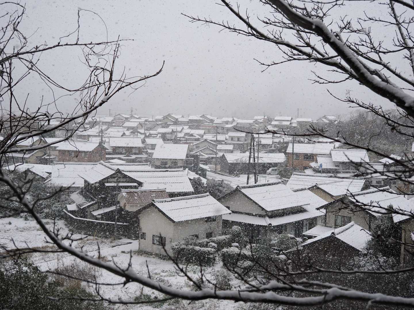 古浦の町も真っ白