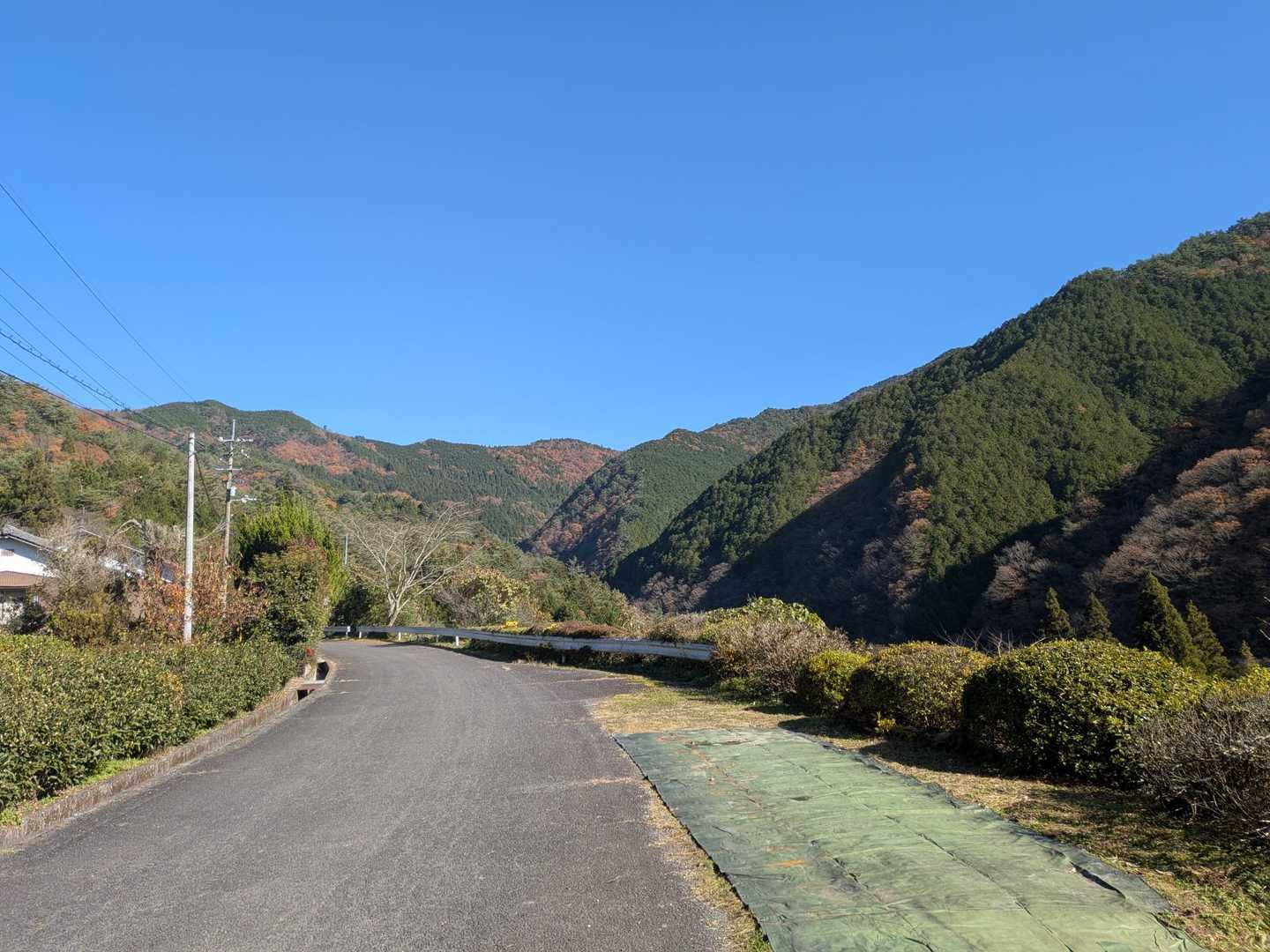 ホンマにいい天気☀