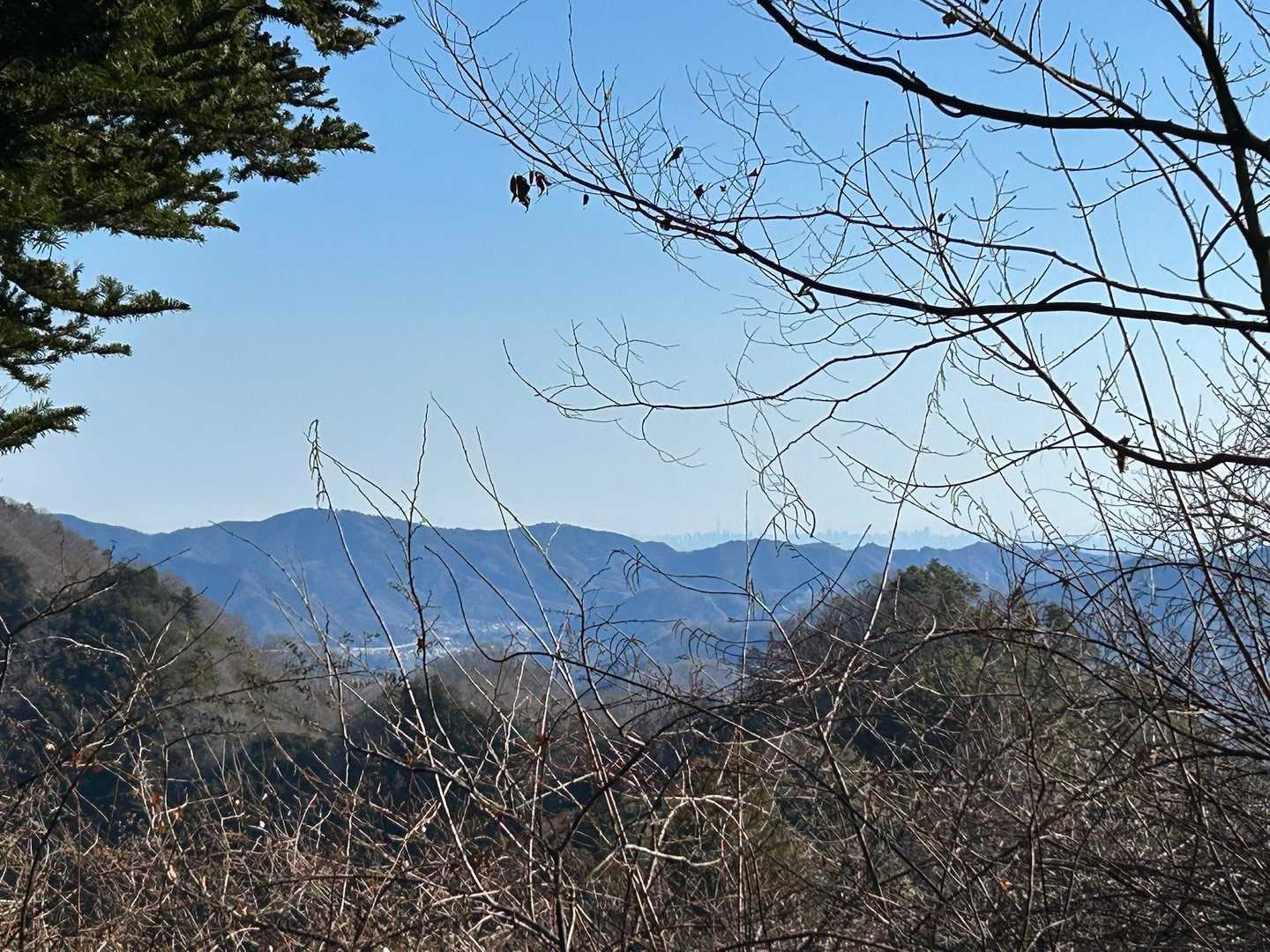 遥か遠くにスカイツリーが見えた❗️
そして左端には、本日のメインの高柄山がちょっとだけ写っている。