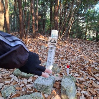 丸山に無事到着(^^♪