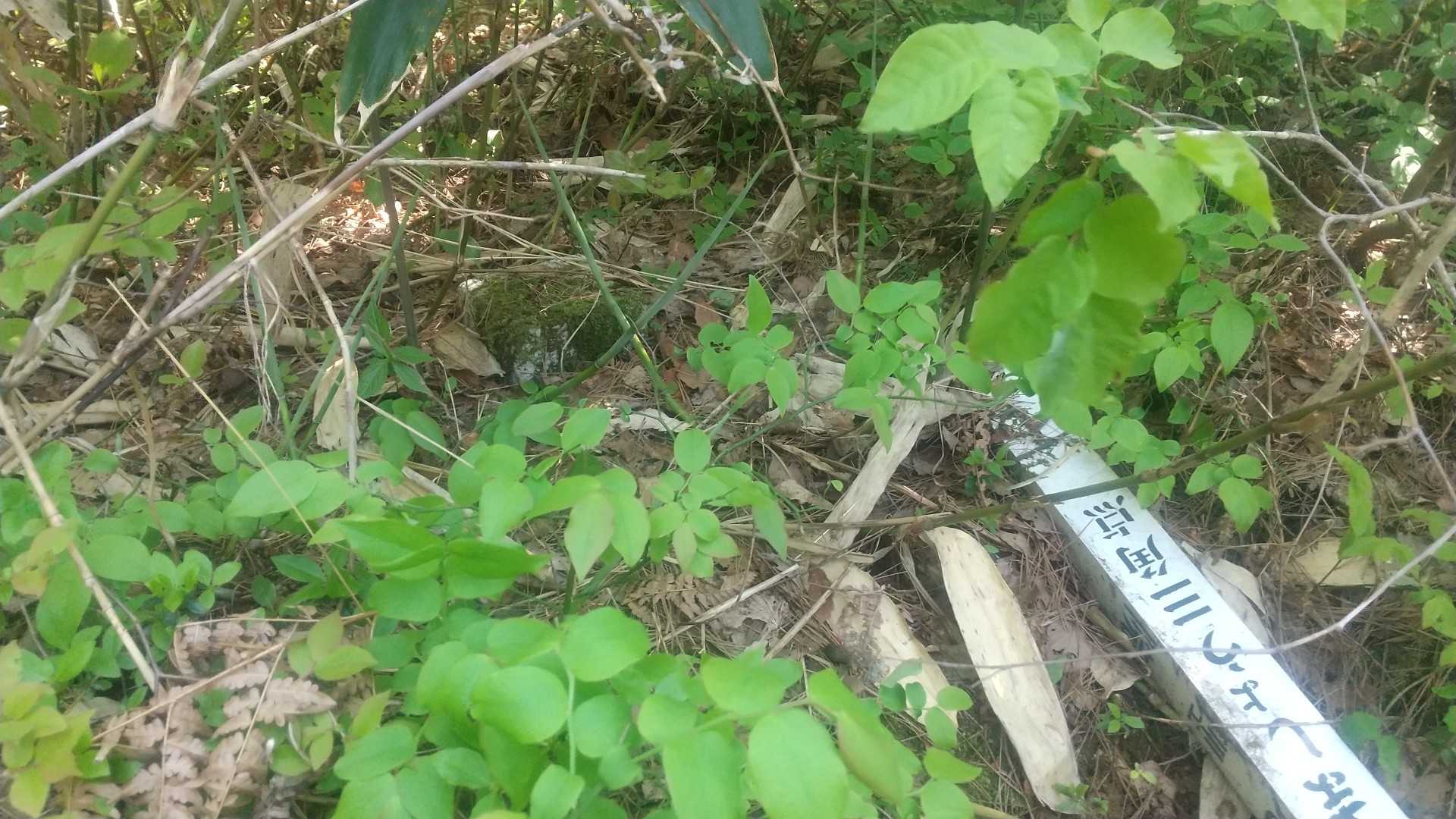 二等三角点（曾又）
誰も見に来ていないのか三角点は苔むしていた。