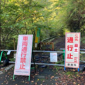 少し遅くなりましたが10時前に登山開始