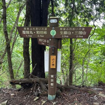 和田峠まで2.7キロ、まだ先は長い