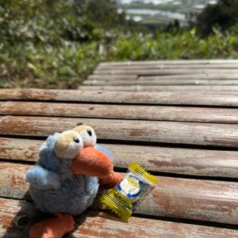 カピバラさん
