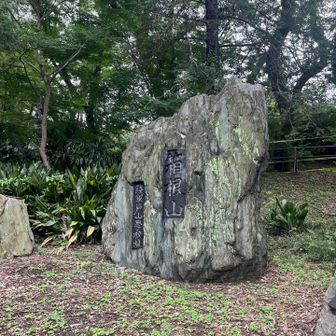 山手線内最高峰！