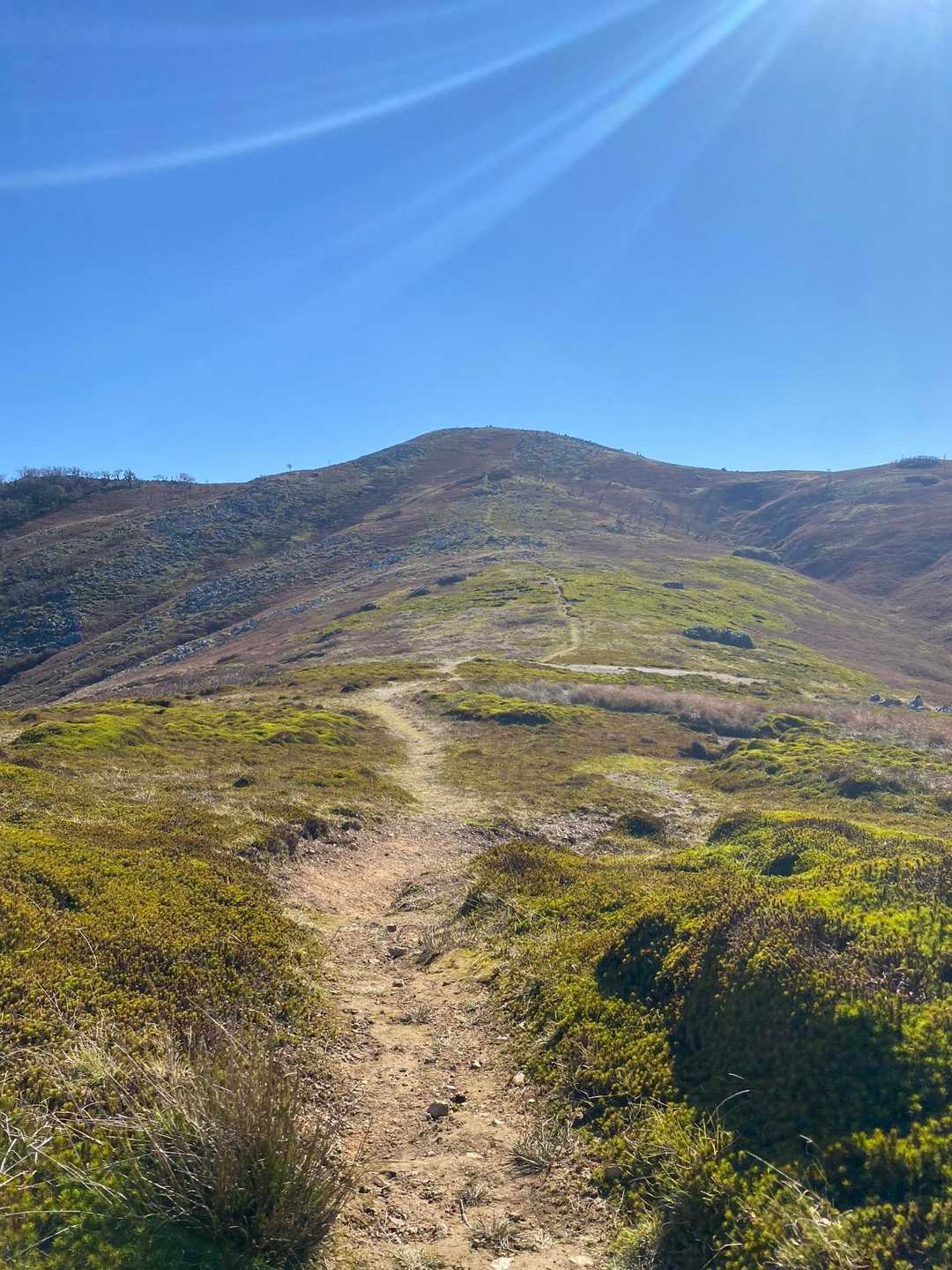 汗ふき峠-経塚山-霊仙山 往復コースの写真