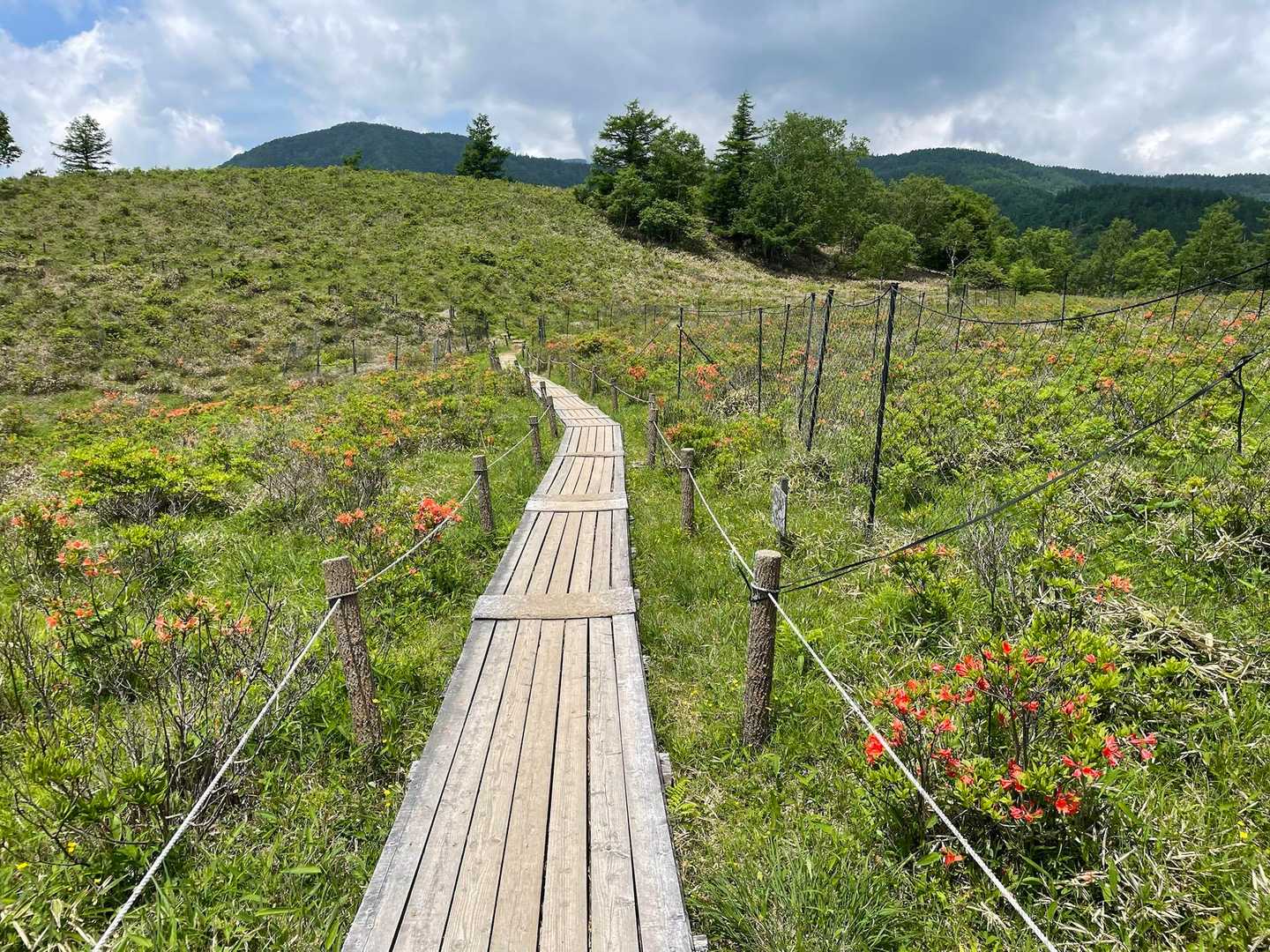 甘利山登山口-甘利山 往復コースの写真