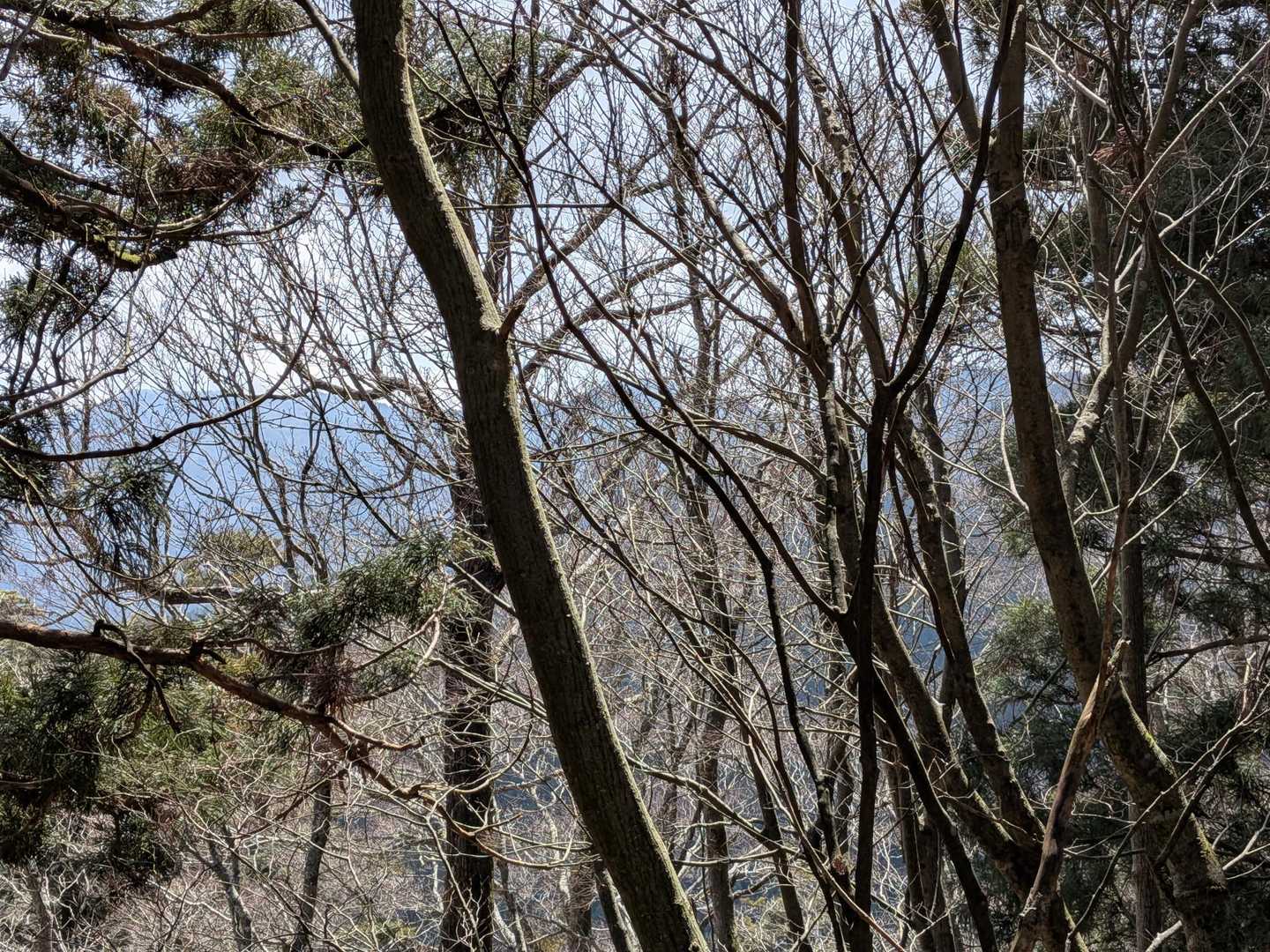 南は、東三方ヶ森方面