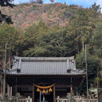 白山神社から金の鳥居⛩️！見えますか〜？