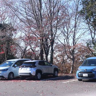 1週間前だったら、素晴らしい🍂🍁🍂