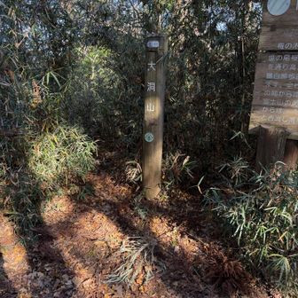 セブンサミッツ⑦大洞山