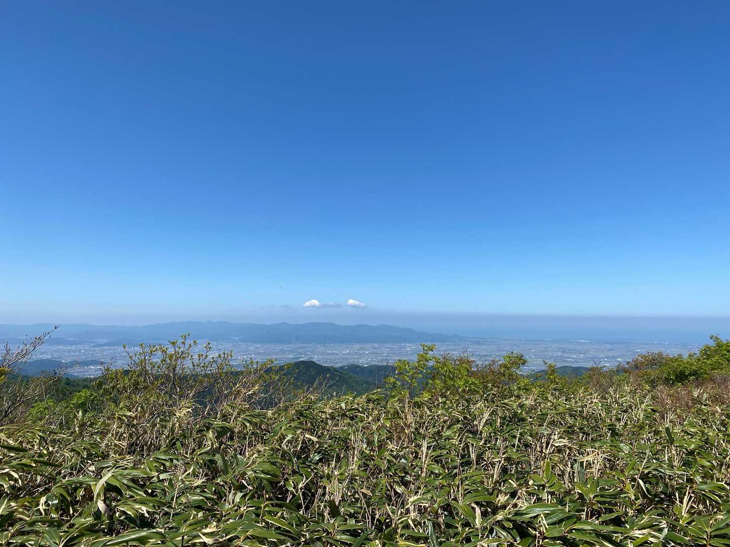 開けた！