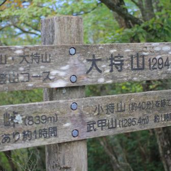 大持山　山頂1,294.1m