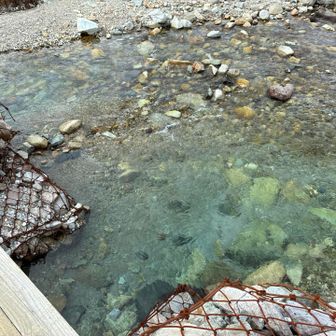 澄んだ水
