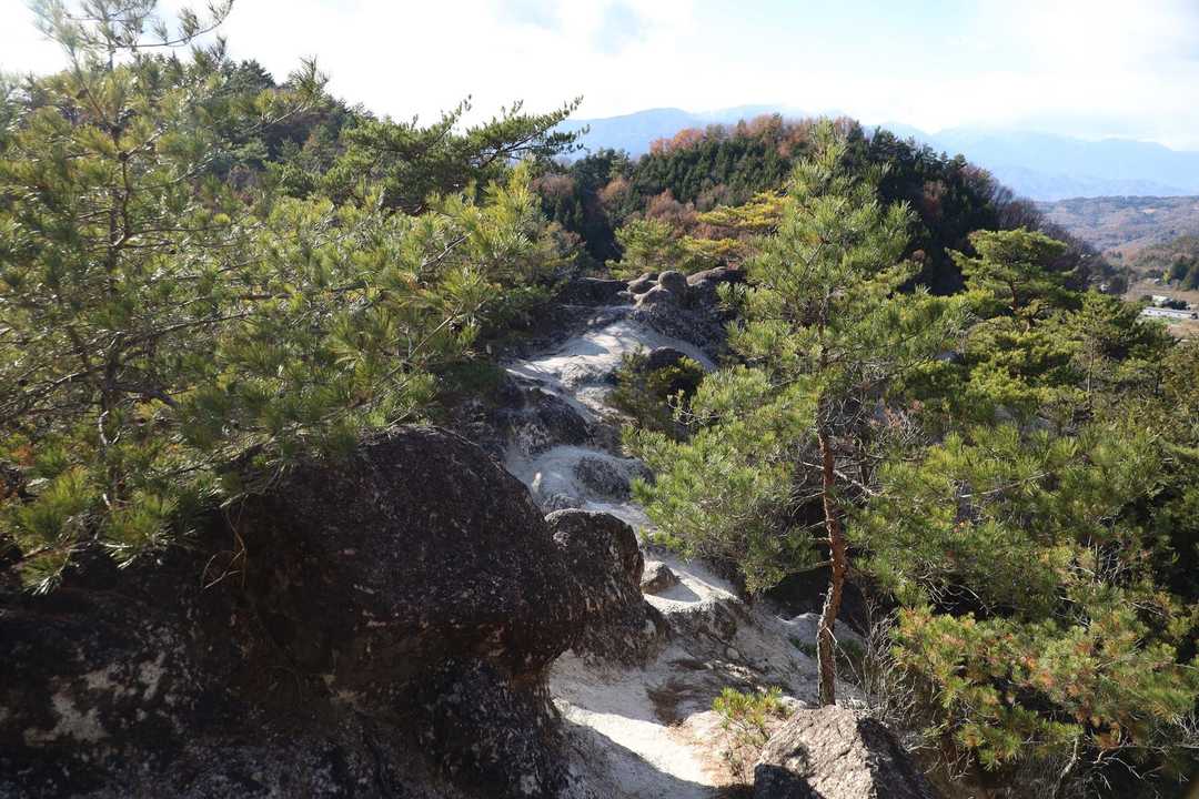 八王子山や羅漢寺山、白砂山に近い雰囲気