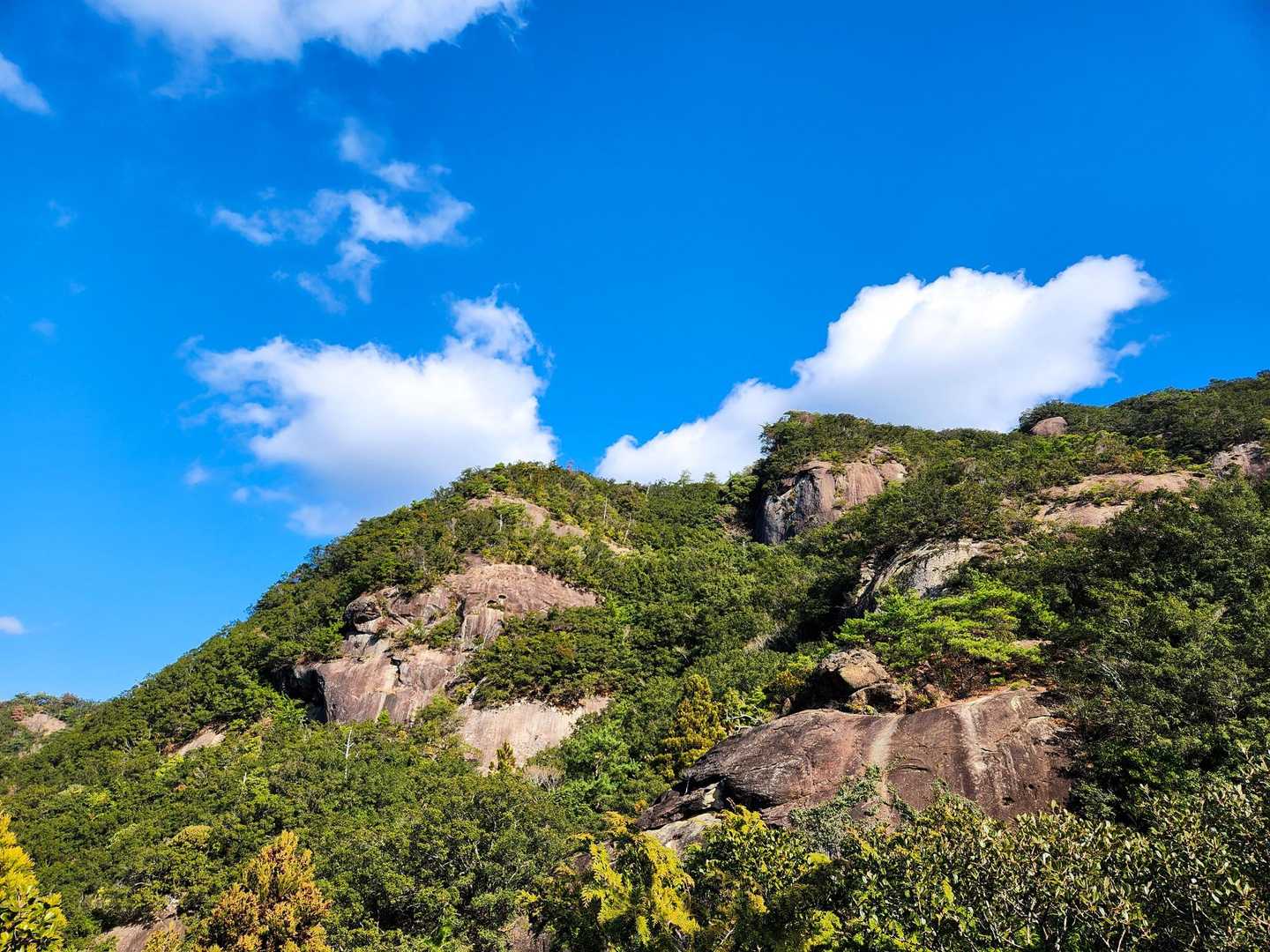 龍神山-三星山 周回コースの写真