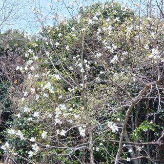 駐車場のはどっち？