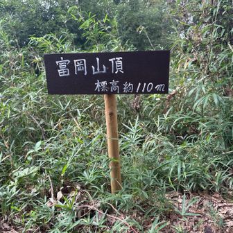 富岡山登頂しました🙌記念すべき300座目です👏