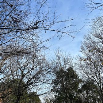 青空が覗いてきました