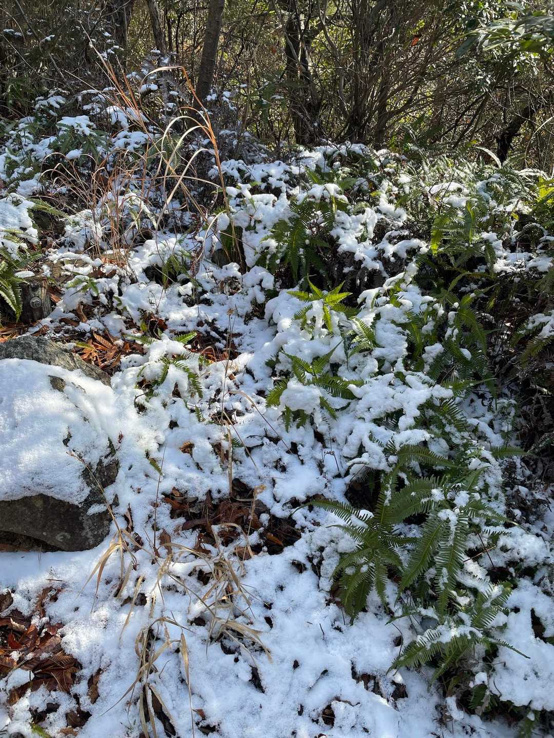 あれ？
雪が結構残ってる！