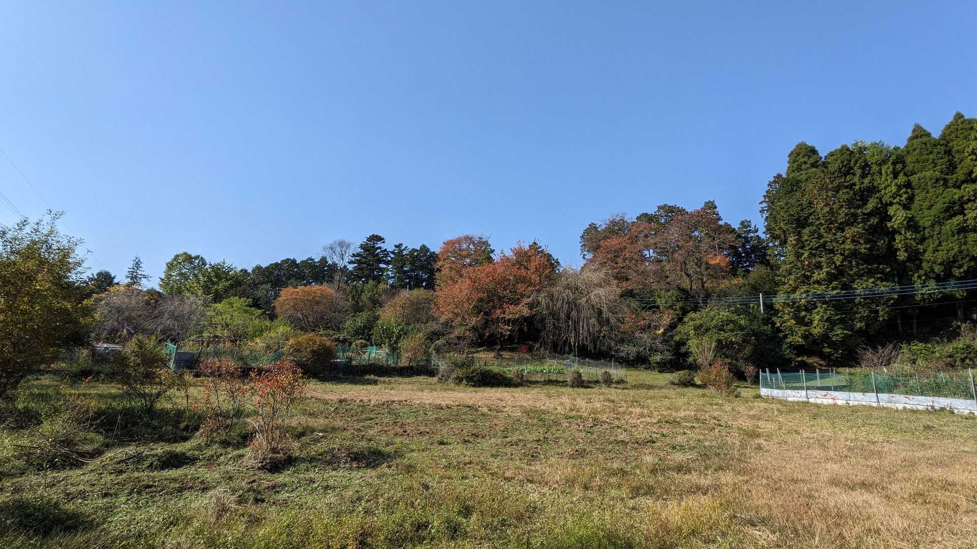 どの季節でも雰囲気良き。