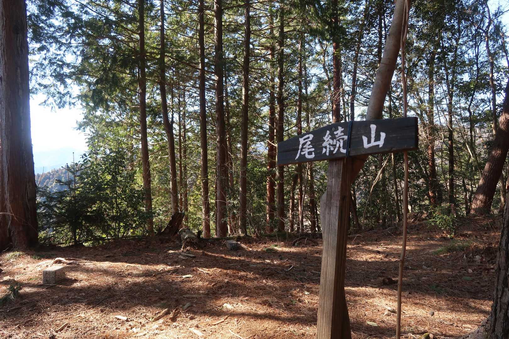 急登を一気に登って、尾続山（おづくやま）とーちゃく♪
ここから要害山まで、木々の隙間から富士山を横目に歩けるので楽しいー🎶