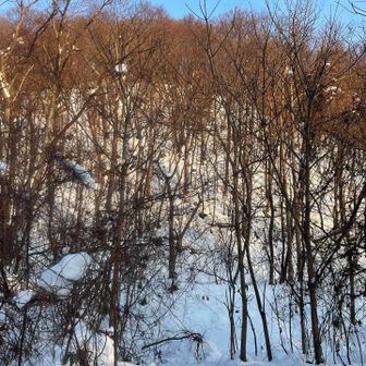 朝日に照らされて素敵💓