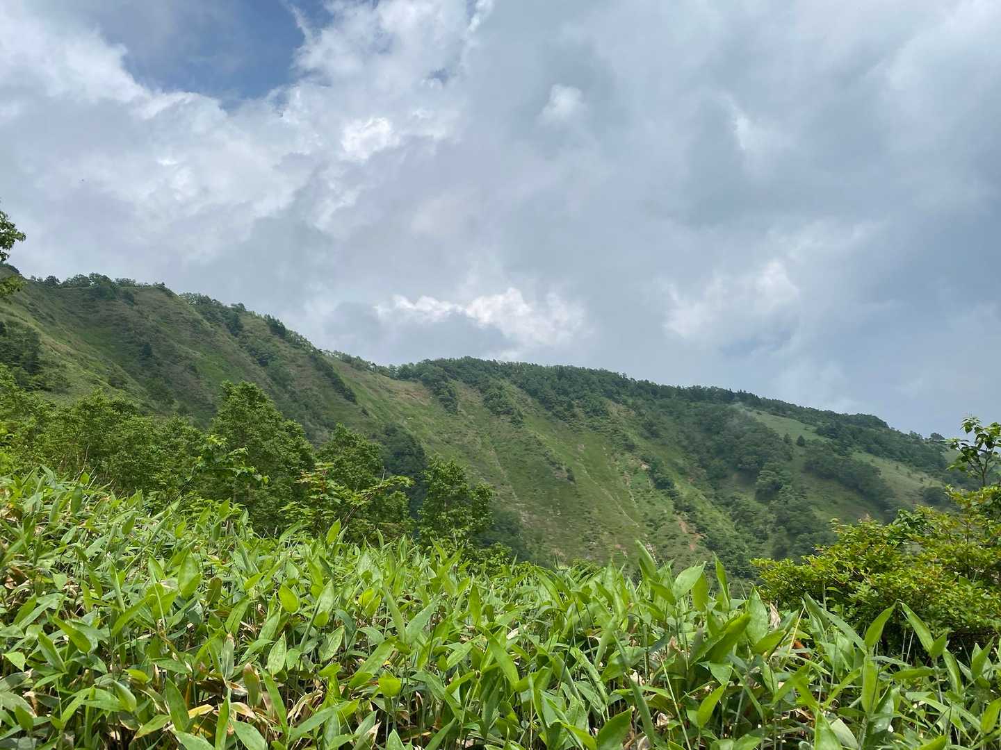 綺麗な稜線🤩