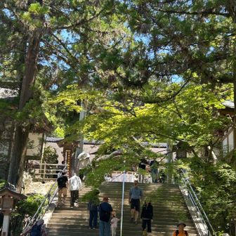 いつ来てもとても気持ちの良い所です