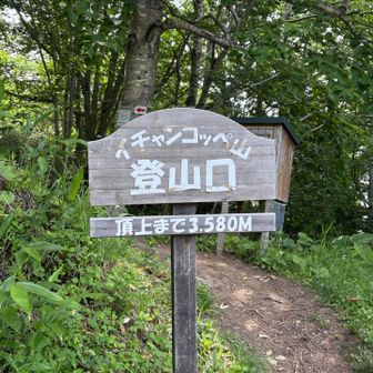 駐車場からすぐ
