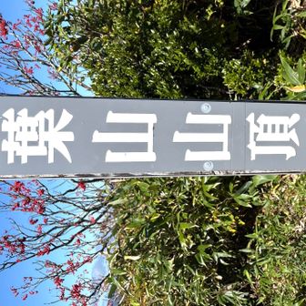 葉山山頂です♪来ましたょ