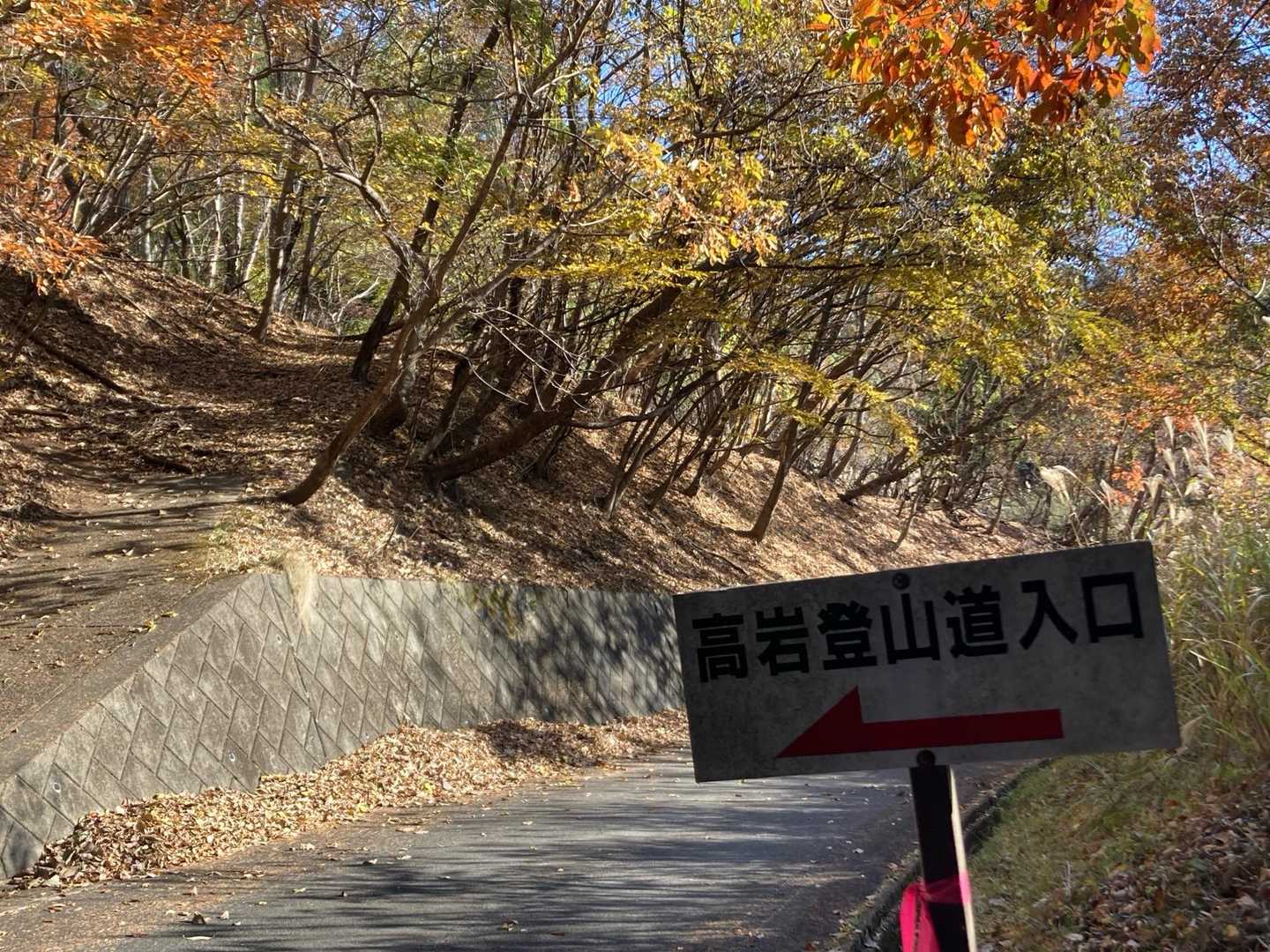 東登山口から登ります