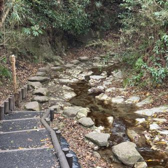 川辺に出ました。