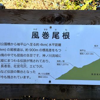 風巻尾根🧐
そー言えばかなりの急坂を下ってきた😮‍💨
あと半分💪