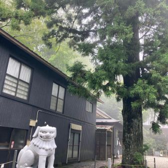 エジプト風⁉️エスニック風な狛犬さん
