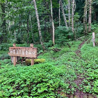 和賀岳高下岳登山口🌱

ここまで来るのに🚙
本当に…オフロードでした
何度も車置いて歩こうかと…
なんと…か着きました…😨😮‍💨