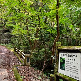 橋を渡ったすぐ右に円山への道が