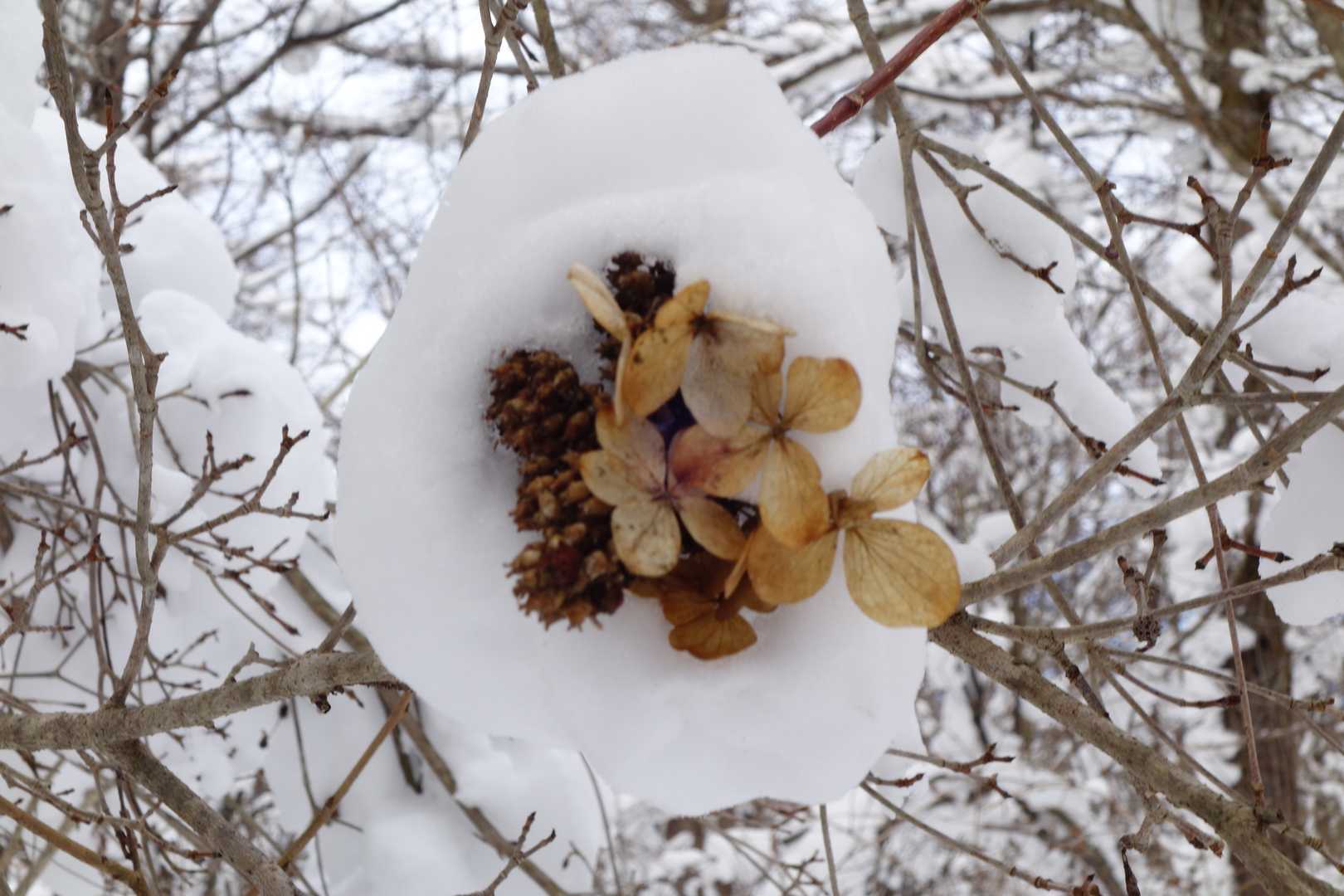 雪のブーケ💐