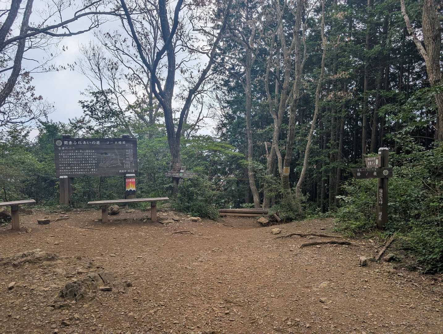 急登を終えて権次入峠。
ここまで来るともう少しで山頂。
