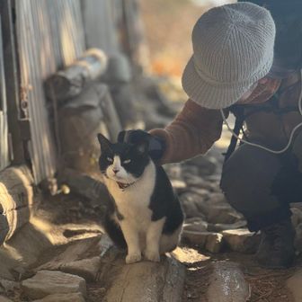 妻も可愛がります！